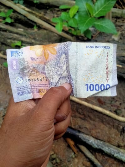 A person is holding a 10,000 Indonesian Rupiah banknote. The banknote is folded in half. The person's hand is in the foreground, and the banknote is in focus. The background is blurry, and consists of dry, brown earth, and a plant with green leaves. The coordinates provided are located in the city of Kecamatan Sambirejo, Indonesia. The scene suggests that the person is in a rural or forested area.