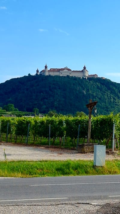 The image shows a large, multi-story building with red-tiled roofs and white walls, perched atop a densely forested hill. The building has several domed towers, with the largest one in the center. In the foreground, there are rows of green grapevines, supported by metal poles. To the right of the grapevines, there is a wooden structure with a lantern hanging from it, and a concrete base. A light-colored utility box is also visible. A road with white lines runs along the bottom of the image. The sky is clear and blue. The location is the Göttweig Abbey in Palt, Austria.