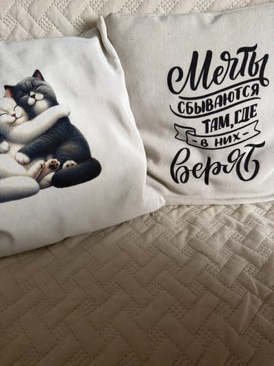 The image shows two cream-colored throw pillows on a textured, light-colored blanket. The left pillow features a graphic print of two cartoon cats hugging, one gray and white, the other white. The gray and white cat has its eyes closed and is embracing the white cat. The white cat also has its eyes closed and is being hugged. The right pillow has a black, stylized Russian inscription that reads "Мечты сбываются там, где в них верят," which translates to "Dreams come true where they are believed in." The text is arranged in a banner-like design with a decorative flourish at the bottom. The background blanket has a woven, diamond-like pattern. There is no indication of the location being in the city of Kurgan, Russia.