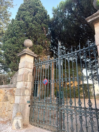The image depicts an ornate wrought iron gate, likely a main entrance to a property, situated in Cascais, Portugal. The gate is dark green and features intricate scrollwork and pointed finials. A small, circular red and blue sign with a diagonal red line through it is attached to the gate, indicating a prohibition, possibly "no stopping" or "no parking."
To the left of the gate stands a large stone pillar, part of a stone wall constructed from irregular blocks of light-colored stone. The pillar is topped with a decorative stone sphere and has a weathered, aged appearance. A metal chain hangs from a ring on the pillar. The wall itself is substantial, with a rounded decorative element on the left side.
Behind the gate and wall, a large, mature evergreen tree dominates the background, its dense foliage reaching towards the sky. The tree is a prominent feature of the landscape. Smaller trees and shrubs are visible in the midground. Through the gate, a glimpse of a building with a yellowish facade and windows can be seen, surrounded by greenery. The ground in front of the gate is paved with cobbles. The sky above is clear and a pale blue, suggesting a daytime setting, likely late afternoon or early morning due to the warm light. The overall impression is one of an established, possibly historical, residence.