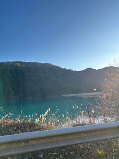 The image depicts a panoramic view of a large body of water, likely a reservoir, in Erma Reka, Bulgaria. The water appears turquoise to teal and shows surface ripples. In the background, forested mountains or hills rise, densely covered with coniferous trees. The sky above is clear and bright blue. In the foreground, a stand of dried, golden-brown reeds or tall grasses lines the near shore of the water, illuminated by direct sunlight originating from the right side of the frame. A silver-colored metal guardrail extends horizontally across the lower third of the image, indicating proximity to a roadway or embankment. Bare tree branches are visible on the extreme right foreground. No individuals, animals, or artificial structures other than the guardrail are discernible.