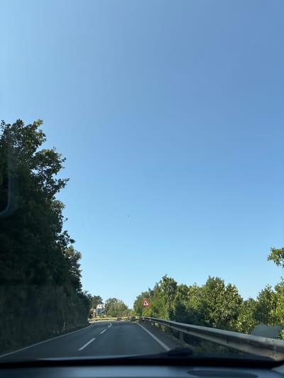 The image captures a view from inside a vehicle driving on a road that appears to be in a mountainous or hilly area, with lush green trees lining both sides of the road. The sky is clear and bright blue, indicating it is daytime. The road itself is asphalt with white lane markings. On the left side of the road, a steep, vegetated slope rises upwards. On the right side, a metal guardrail runs along the edge of the road, separating it from the trees beyond. There are a few road signs visible, including a triangular warning sign with a number "4" inside it. In the distance, a building or structure can be seen nestled among the trees. A small, dark bird is visible in flight against the blue sky. The overall impression is one of a scenic drive through a natural landscape. The location is identified as the city of Rijeka Reževići, Montenegro.