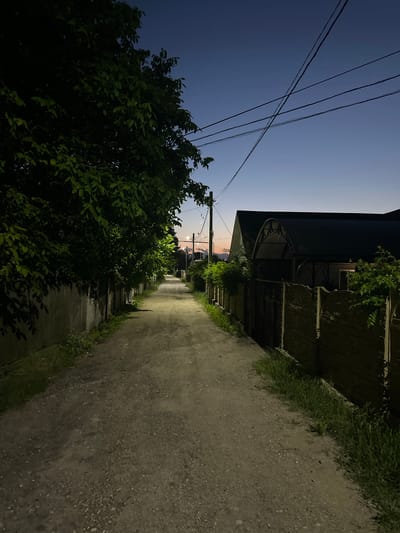 The image depicts a narrow, unpaved alleyway in the city of Strășeni, Moldova, during twilight or early night. The sky is a gradient of deep blue to a pale orange hue near the horizon, indicating the sun has recently set. Overhead, several electrical wires are strung between utility poles, crossing the sky.
On the left side of the alley, a tall, dense tree with dark green leaves casts shadows onto a gray, weathered wall. The wall appears to be made of concrete blocks, some of which are crumbling or damaged. Some green vegetation is growing at the base of the wall.
The alley itself is a dirt path with gravel and small stones visible on its surface. It recedes into the distance, with a slight upward incline. On the right side of the alley, there is a wooden fence with horizontal planks, some of which are lighter in color than others. Beyond the fence, a structure with a dark, pitched roof and a covered entrance is visible. The roof has a curved, arched design over the entrance. Some green foliage is growing along the top of the fence and near the structure.
Streetlights are visible in the distance, casting pools of light onto the alleyway and illuminating parts of the scene. The overall atmosphere is quiet and somewhat isolated, characteristic of a residential area at this time of day. There are no people or animals visible in the image.
