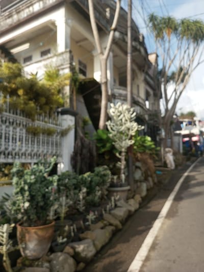 The image shows a street scene in Mya Sit Kaing Ywar Thit, Myanmar. The view is somewhat blurred, but several elements are identifiable. A two-story building stands on the left side of the frame. It has a white facade with possible decorative columns. In front of the building is a wrought-iron fence partially obscured by greenery. A stone retaining wall lines the edge of the road, topped with potted plants and various foliage. A street runs along the right side of the image. Beyond the building and the line of trees, figures that appear to be people can be seen in the background, though their details are indiscernible. Utility poles and wires are also visible overhead.
