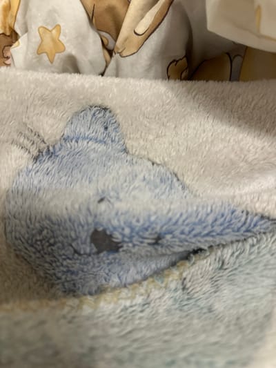 The image shows a close-up view of a blue plush toy bird lying on a white, fluffy blanket. The toy appears to be a simplified representation of a bird, with a rounded body and a tail. There is a darker grey marking on the bird's body, which could be a design element or a stain. The background consists of a patterned fabric, possibly a sheet or another blanket, with a yellow star pattern visible. The lighting is soft and diffused. The scene is indoors, likely in a domestic setting. There is no indication of the city of Malinovka, Russia in the image.