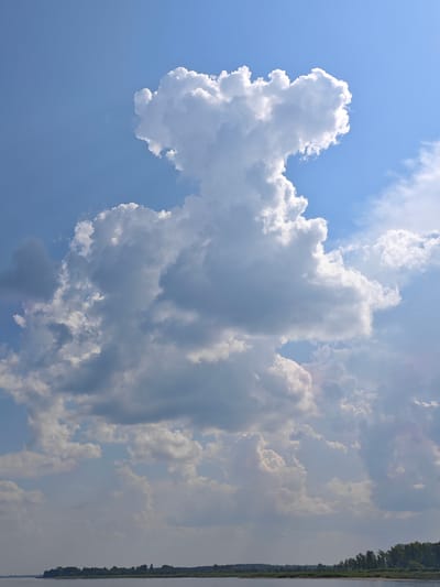 This image captures a wide, panoramic view of a riverbank under a dramatic sky filled with cumulus clouds. The sky dominates the frame, showcasing a range of cloud formations from bright, fluffy white clouds catching the sunlight to darker, more diffused clouds hinting at depth and distance. A particularly large, towering cumulus cloud, shaped somewhat like a mushroom or a stylized figure, stands out prominently in the center-right of the frame. The lower portion of the image displays a calm, wide river, its surface reflecting the soft light of the sky. Along the distant riverbank, a line of trees and vegetation creates a dark, textured silhouette against the horizon. The terrain appears relatively flat, with no distinct structures or man-made elements visible from this vantage point, suggesting a natural or undeveloped setting. The overall impression is one of a serene, natural landscape on a day with dynamic weather patterns. The image is identified as being taken in Ust'-Kem', Russia.