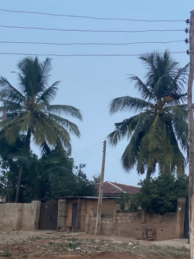 The scene depicts an outdoor environment in Odo Ona, Nigeria, under a light blue-grey sky. Two large coconut palm trees, laden with fronds and some coconuts, dominate the upper frame, one on the left and one on the right. Multiple utility wires span horizontally across the middle, supported by two wooden utility poles; one pole is on the far right, and another is slightly right of center, emerging from behind a wall. A wooden platform with an attached light fixture is visible on the trunk of the right palm tree.
Below the vegetation and utility lines, a low, unpainted concrete block wall delineates property lines. To the left, behind this wall, a dark metallic gate is visible next to a plain stucco or mud-finished wall section displaying a small, square white sign with the number "1". To the right of the gate, behind the wall, stands a single-story building with a light brown facade featuring vertical wooden slats or louvers and a simple wooden structure (possibly a bench) in front. Further back and to the right, a building with a red corrugated metal roof is partially visible. The low wall on the right side also displays a small, square white sign with the number "8".
The foreground consists of uneven, reddish-brown earth, indicative of an unpaved area or dirt road, with scattered debris and litter. No people or animals are distinctly visible.