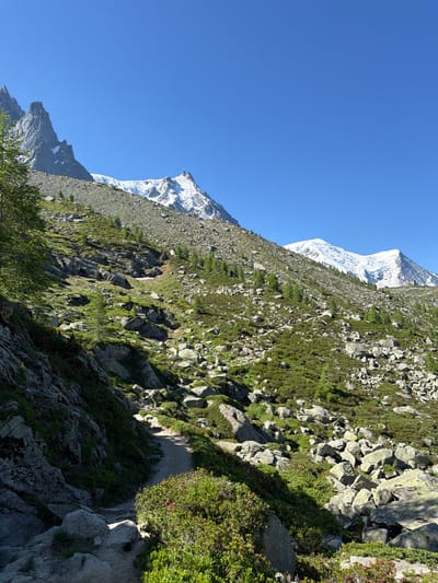 This is a photograph of a mountain trail in the Chamonix-Mont-Blanc area of France, on a clear, sunny day. The trail winds uphill through a rocky, grassy terrain dotted with small evergreen trees and low-lying green shrubs. Large grey boulders are scattered throughout the landscape. In the background, a majestic snow-capped mountain range dominates the horizon under a vibrant blue sky. The trail itself is dirt and appears to be well-trodden, with several hikers visible in the distance, ascending the path. Some pink flowering plants are visible along the edge of the trail in the foreground. The overall scene depicts a remote, natural mountain environment.