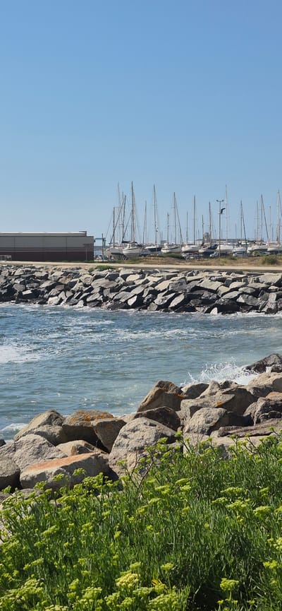 This is a medium shot of a marina in Vila do Conde, Portugal, captured on a bright, clear day. The camera is positioned close to a rocky embankment covered in lush green vegetation with small yellow flowers, which occupies the left side of the frame. The water, a vibrant blue, flows gently, with some white froth visible near the rocks.

Beyond the water, a row of sailboats are docked along the marina. Their tall masts create a striking pattern against the clear blue sky. The boats are white and appear to be of various sizes. In the background, a long, low building with a silver roof and a brown stripe runs parallel to the water, likely a boat shed or marina facility. The overall scene suggests a calm and serene atmosphere, typical of a sunny day at the coast. There is no visible text in the image.