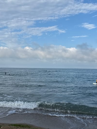 A wide shot captures a tranquil scene on the shore of a body of water. The foreground features a pebbly beach with some green seaweed scattered across it, meeting the gentle waves of the sea. The water itself is a deep blue, with whitecaps forming as waves roll towards the shore. In the middle ground, several people are visible in the water. Two individuals are closer to the shore, appearing to swim or wade, while further out, another person is seen on a paddleboard, with a bright yellow life jacket visible. The horizon is a clear line separating the water from the sky. The sky is a mix of blue and white, with fluffy clouds scattered across it, suggesting a partly cloudy day. In the far distance, a faint line of what appears to be buildings or structures is visible on the horizon. The overall impression is one of a peaceful, possibly summer day by the sea.