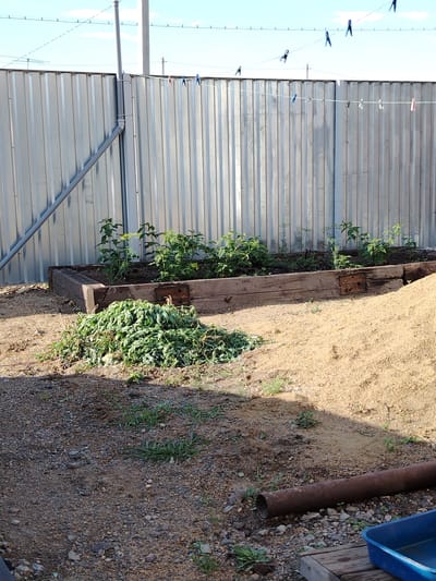 This is an outdoor, eye-level shot of a backyard scene. A corrugated metal fence runs horizontally across the background, with clotheslines strung above it, some adorned with clothespins. In the foreground, a raised garden bed made of weathered wood contains young green plants. To the left of the garden bed, a pile of wilted green cuttings lies on the ground. A large mound of light-colored sand is situated to the right of the garden bed, casting a shadow on the surrounding gravelly ground. A rusty metal pipe rests on the ground in the lower right quadrant, next to a blue plastic tub. The sky above is blue with scattered clouds, suggesting a clear day. The overall impression is one of a rural or suburban outdoor space, possibly in a dry climate, with evidence of gardening activities. No people are visible, and there is no visible text in the image. The time of day appears to be daytime, with the sun casting distinct shadows.