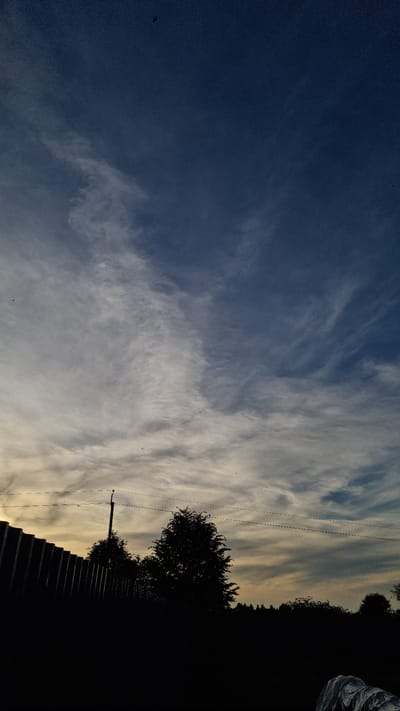 The image depicts a silhouetted landscape at dusk or dawn, with a dark, corrugated metal fence on the left and a row of trees and vegetation forming a dark line across the middle ground. A solitary utility pole with two wires stretches across the scene. The sky above is a gradient of deep blue at the top, transitioning to lighter shades with wispy clouds illuminated by the setting or rising sun. A small bird is visible in flight in the upper portion of the sky. The foreground is entirely black, obscuring any details. This scene is located in Vysokoe, Russia.