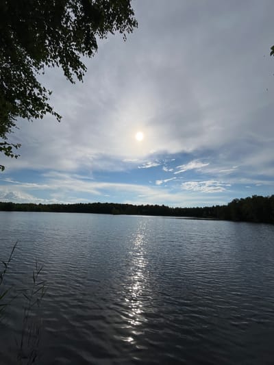 A wide shot captures a serene lake under a partly cloudy sky with the sun partially obscured by clouds. The sun's rays create a shimmering reflection on the water's surface. The far bank of the lake is lined with a dense, dark green forest. In the foreground, on the left side, branches with green leaves hang over the scene. Tall, thin reeds are also visible in the lower left corner, growing out of the water. The overall impression is one of natural tranquility. The location is the lake in the city of Nagorny, Russia. There are no people or animals visible in the image.