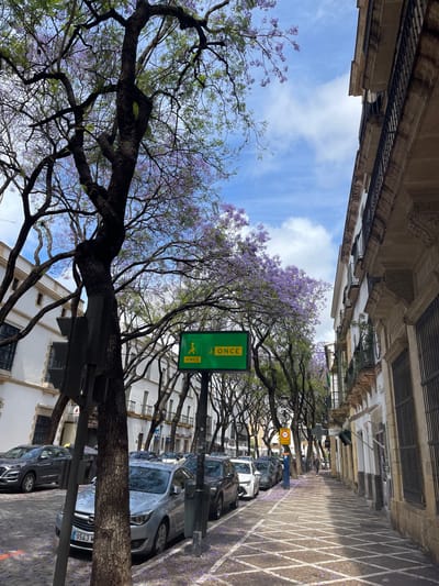 The image captures a street scene in Jerez De La Frontera, Spain. The view is along a street lined with jacaranda trees in full bloom, their purple flowers adding color to the scene. The street is flanked by buildings with classic architecture. Cars are parked along the street, and the pavement features a grid pattern. A sign with the word "ONCE" is visible, likely indicating a local business or service. The sky is partly cloudy, suggesting a pleasant day.
