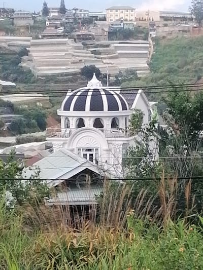 The image captures a landscape view with tiered agriculture or greenhouses on a hillside in Xuan Truong, Da Lat, Vietnam. A distinctive white building with a black and white domed roof stands prominently in the mid-ground. In the foreground, tall grasses and other vegetation obscure parts of the scene. The overall impression is one of a semi-rural or agricultural area with some architectural features.