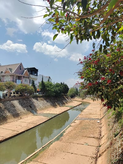 The image captures a concrete-lined canal or channeled river in Thành phố Đà Lạt, Vietnam, under a partly cloudy sky. The waterway features greenish-brown water with visible debris and algae, flowing between artificial banks constructed from large, light-brown concrete slabs.

The left bank rises to an elevated terrace supported by a stone retaining wall at its base. Above this wall, a row of mature trees partially obscures several multi-story buildings designed with pitched roofs and light-colored facades (pinkish-beige, white) consistent with European architectural styles. A yellow vehicle is partially visible on an unseen road behind these trees.

The right bank, also lined with concrete slabs, ascends to a natural embankment heavily vegetated with green trees and a prominent bush displaying numerous red flowers in the foreground. No individuals or direct human actions are observable. The scene is illuminated by bright sunlight.