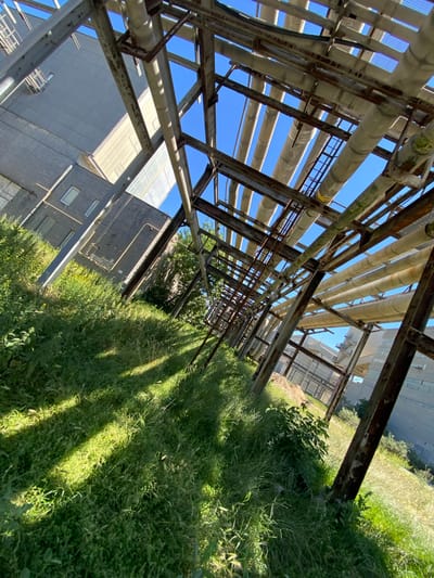 The image depicts an industrial area with a complex network of pipes supported by a weathered metal framework. The pipes, varying in diameter and color, are mostly beige and gray, some showing signs of rust and green moss. They are arranged in multiple layers, stretching into the distance under a clear blue sky.

Below the pipes, lush green grass and weeds grow abundantly, with dappled sunlight casting shadows. In the background, industrial buildings are visible. One building is constructed of dark brick with several rectangular windows, and a taller, grey structure with a sloped roof. Further in the distance, another industrial building with lighter concrete elements and a metal structure can be seen.

The perspective is from ground level, looking upwards and along the length of the pipe system, giving a sense of scale and complexity. The scene appears to be an outdoor, overgrown industrial site, possibly abandoned or in a state of disuse. No people are present in the image.

Based on the provided context, this scene is located in the city of Police, Poland.