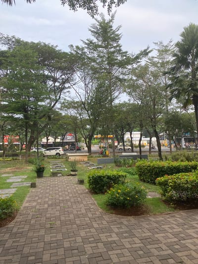 The image shows a view of a paved walkway with a park-like setting. The walkway is constructed of grey interlocking pavers and curves gently to the right. To the left of the walkway, there is a grassy area with several bushes and some trees with dense foliage. Some of the bushes have small yellow flowers. Further to the left, a street is visible with cars, motorcycles, and buildings. There are several signs on the buildings, including one that appears to say "MCD". The trees on the left are tall and have many branches, creating a canopy that partially obscures the sky. The sky is overcast. In the distance, there are palm trees. The image appears to be taken during the daytime, likely in the morning or afternoon, given the lighting. The setting suggests an urban park or a well-maintained public space in a tropical or subtropical region, given the presence of palm trees and lush greenery. There are no people clearly visible in the foreground, but there are vehicles and potentially people on the street in the background. The overall impression is one of a peaceful and green urban environment.