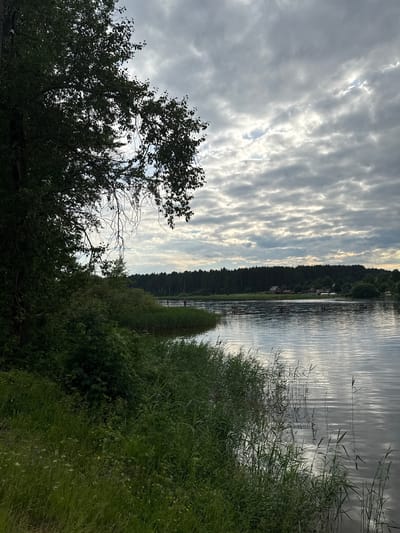 The image shows a cloudy sky over a body of water, likely a lake or river, with a wooded shoreline and a grassy foreground. The water reflects the sky, creating a textured surface. On the far bank, a dense forest lines the edge, with a few houses and structures visible among the trees. In the foreground, tall green grass and reeds grow along the water's edge. A large tree with dark foliage is prominent on the left side of the image, its branches extending towards the sky. The overall scene depicts a natural landscape with a hint of human habitation in the distance. This is a view of a river near the village of Otchor in the Tver Oblast of Russia.