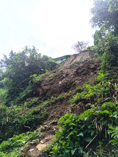 A steep hillside shows signs of a recent landslide, with exposed soil and sparse vegetation. A light green building sits at the top of the hill, partially visible behind the displaced earth. Lush green foliage, including various trees and shrubs, covers the lower part of the slope. The sky is overcast, contributing to the muted tones of the scene.