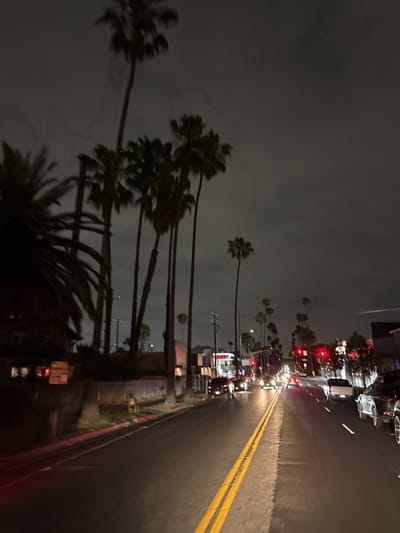 The image depicts a street scene at night in Los Angeles, United States. The road is wet, reflecting streetlights and headlights. Palm trees line the street. Cars are visible in both directions. Traffic lights are red. Buildings are visible in the background.