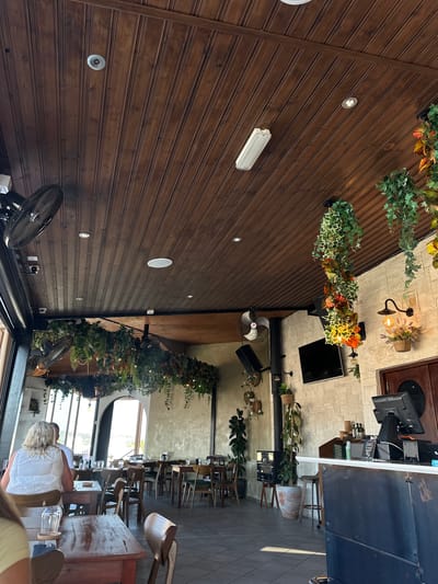 This media file shows the interior of a restaurant or cafe, likely in Peyia, Cyprus. The scene is captured from a high angle, looking down at the wooden paneled ceiling and down into the restaurant space.
The restaurant features a rustic, natural aesthetic with an abundance of greenery. Faux plants are draped from the ceiling and walls, creating a lush, jungle-like atmosphere. The ceiling is made of dark wood planks with embedded lights.
Several objects are visible throughout the space, including ceiling fans, light fixtures, speakers, and a television screen mounted on a stone wall. In the background, tables and chairs are set up, suggesting that patrons are being served or waiting for service. Some chairs have wooden backs and seats, while others appear to be upholstered.
There are glimpses of people in the background, including a woman with blonde hair wearing a white top, seated at a table. The overall impression is of a relaxed and inviting ambiance, perhaps during daylight hours given the natural light streaming in from large windows in the background, which offer a view of an outdoor landscape. The decor suggests a potentially casual dining experience. No specific text is clearly visible.