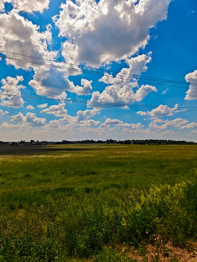 This is a vertical, eye-level, medium-shot photograph of a sunlit, rural landscape on a clear day. The scene is dominated by a vast, green field of grass and wildflowers that stretches towards a distant tree line. In the foreground, tall grass and wildflowers are visible, with some areas of dry, brown earth. Behind the field, a dense forest forms a dark green line across the horizon. A few small buildings and trees are scattered amongst the treeline, suggesting a rural settlement.
The sky above is a vibrant blue, filled with large, puffy, white cumulus clouds. The sunlight casts a bright, warm glow over the landscape, creating a shadow on the left side of the field. The presence of power lines strung across the top of the frame indicates civilization is nearby.
The time of day appears to be midday or early afternoon, given the bright sunlight and the clear blue sky with scattered clouds. The weather is sunny and fair. The location is identified as Kurovo, Russia. There are no people or animals visible in the frame, and no text is present. The overall mood is peaceful and serene, evoking a sense of the natural beauty of the Russian countryside in summer.