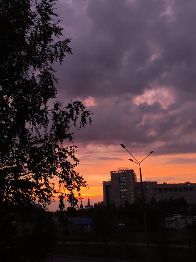 A view of a sunset over the city of Nizhnevartovsk, Russia. In the foreground, the silhouette of a leafy tree branches across the left side of the frame. Behind it, a cluster of buildings, including a large multi-story building with illuminated windows and a street lamp in front of it, are visible. The sky is a dramatic blend of deep purple clouds tinged with bright orange and yellow from the setting sun. In the distance, the silhouettes of church domes are visible. The scene depicts a typical urban landscape at dusk.