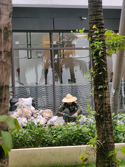 An outdoor scene in Bai Chay Ward, Vietnam, features a person squatting amidst green foliage in front of a modern building. The individual wears a traditional Vietnamese conical hat (Nón Lá) and camouflage-patterned clothing, appearing to be engaged in an activity close to the ground, possibly gardening or handling materials. They are holding a dark object, possibly a tool or container.
Behind the person, a substantial pile of large bags, some white and some brown, is stacked. Text is visible on some of these bags, with "PORTLAND" and "TRANG" clearly discernible, suggesting they contain cement or similar building materials. A white scooter is partially visible behind the bags.
The background consists of a contemporary building with large, dark-framed glass windows. Reflections of palm trees and the surrounding environment are visible in the windows, along with a distinct wavy, frosted pattern covering the lower portion of the glass. Inside the building, decorative items like white coral-shaped and shell-shaped objects are displayed on shelves. A red object, possibly a broom, can also be faintly seen through the glass. The upper part of the building has a dark grey facade.
The image is framed on both sides by the trunks of two large trees, one a textured palm tree with vines growing on it, and the other partly obscured. Lush green bushes fill a planter box in the foreground. The lighting suggests it is daytime, possibly overcast, with no harsh shadows. The overall impression is one of everyday work or maintenance being carried out in a landscaped urban or commercial area.