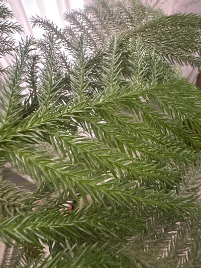 The image shows a close-up view of artificial evergreen branches, likely from a Christmas tree. The branches are a deep green with a slightly dusty or frosted appearance. The needles are thin and pointed, arranged densely along the stems. The background is out of focus and appears to be a light-colored surface, possibly fabric or a wall, with some subtle hints of light filtering through. There are no people or any specific landmarks visible to indicate a location in Haifa, Israel. The image is a still life composition focusing on the texture and color of the artificial foliage.
