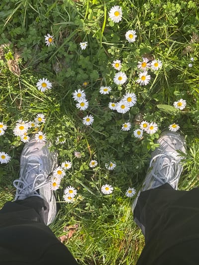 An overhead photograph depicts the lower legs and feet of an individual standing on a grassy area in Erba, Italy. The person is wearing dark-colored trousers and light grey athletic shoes with white soles and grey laces. The ground is densely covered with green grass, interspersed with numerous white common daisies featuring yellow centers. Other green foliage, including clover-like plants and some dried plant matter, is visible beneath the main vegetation layer. The scene is brightly illuminated by natural sunlight, indicating an outdoor, daytime environment.