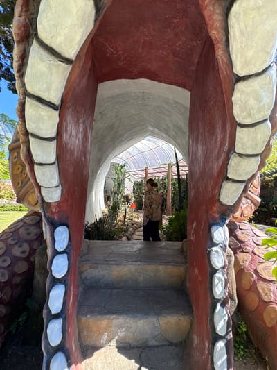 This image depicts the entrance to a botanical garden in Baturiti, Indonesia, designed to resemble the gaping mouth of a monster or creature. The entrance is framed by large, textured elements painted red and white, with oversized, white, tooth-like structures lining the opening. Stone steps lead up into the mouth, which serves as a tunnel. Inside the tunnel, a person wearing a patterned shirt and dark pants stands looking towards the interior of the garden. The garden itself is visible beyond the tunnel, featuring a variety of plants, including cacti and other greenery, under a translucent, arched roof structure. The overall scene suggests an attraction within a tourist destination, likely a garden or park.