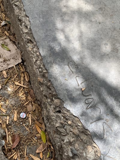 A bottle cap is visible on the ground, amidst fallen leaves and debris. The bottle cap appears to be red and white, with some lettering or branding visible. The surrounding ground is a mixture of dirt, leaves, and small stones. The scene is outdoors, with a concrete surface visible to the right of the bottle cap, which has some faint markings or inscriptions. The overall impression is one of an urban environment, possibly a park or street in Tacarigua, Venezuela, where a discarded bottle cap has become part of the natural detritus.
