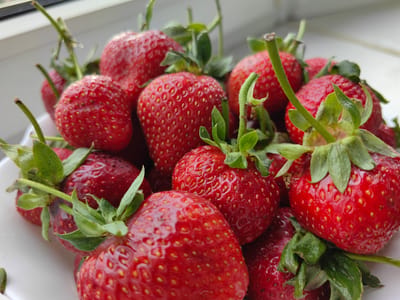 A close-up, slightly overhead shot shows a pile of ripe strawberries in a white bowl, with the top of a windowsill or counter in the background. The strawberries are bright red with visible seeds, and many have green leaves and stems attached. The lighting suggests an indoor setting with natural light coming from the side. The overall impression is of fresh fruit ready to be eaten. There is no indication of a specific location within Balashikha, Russia.