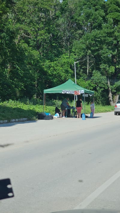 The image depicts an outdoor roadside stall selling cherries. A green canopy tent is set up, under which a table and several people are visible. A man in a dark shirt and shorts is standing behind the table, appearing to be engaged in work. A woman in a black top and pink shorts is also standing near the table. A young girl in a white and pink outfit stands to the right of the stall, holding a large blue water jug. The stall has a sign that reads "ЧЕРЕШИ 4€" (Cherries 4€), with an image of cherries. Various items are placed around the stall, including black crates, a white bag, and more blue water jugs. The stall is situated next to a paved road with a white line marking. Behind the stall is a dense line of green trees, suggesting a natural or semi-rural environment. A silver car is visible in the background to the right. The overall scene suggests a vendor operating along a road, likely in or near Karlovo, Bulgaria, given the Bulgarian text on the sign and the likely context of roadside fruit sales in the region.