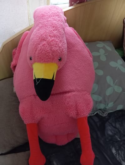 A plush pink flamingo toy is positioned upright on a bed. The toy features a yellow beak with a black tip, two small black eyes, and two red legs. It is situated next to a grey pillow with a clover pattern. The background includes a wooden headboard and a white textured wall. The scene appears to be indoors, likely a bedroom. The image does not contain information that places it in Barnaul, Russia, or any specific city.