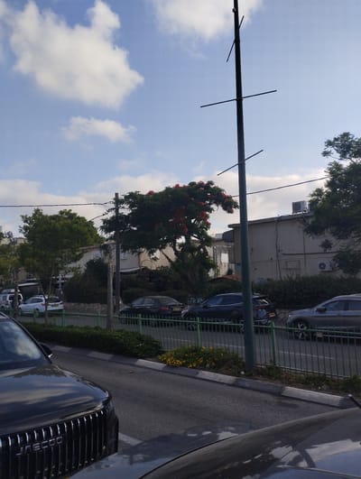 The image shows a street scene in Or Akiva, Israel. The foreground is dominated by the hood and grille of a black car, likely a Jaecoo due to the visible badging. Behind this car, a green metal fence separates the sidewalk from a row of parked vehicles. These include a dark gray sedan, a dark blue SUV, and a white SUV further down the street. Beyond the cars, a building with a light-colored facade and white-shuttered windows is visible, with air conditioning units on its exterior. Several trees line the street; one particularly striking tree in the middle ground is adorned with vibrant red flowers. A tall utility pole with horizontal crossbars stands prominently to the right of the frame. The sky above is a clear blue with scattered white clouds, suggesting it is daytime with fair weather. The overall scene depicts a residential or commercial street in a suburban setting. No people are visible in the image.