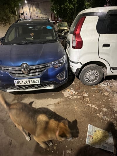 The image shows two cars parked on a dirt road in what appears to be a residential area in Delhi, India. The car in the foreground is a dark blue SUV, and the car in the background is a white hatchback. A medium-sized dog with light brown fur is lying on the ground next to the blue car, casting a shadow on the dirt. The dog is wearing a light pink collar. The scene appears to be set at night, as indicated by the artificial lighting and the darkness of the surroundings. There is a bag of food or grain on the ground near the dog. Visible text on the blue car's license plate reads "DL 12CV3542". The ground is littered with small stones and debris.