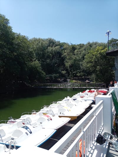 The image depicts a sunny day at a recreational area, likely in Zheleznovodsk, Russia, given the context. The scene is dominated by a body of green water, bordered by lush, dense trees. A wooden bridge crosses the water in the background. In the foreground, a white railing separates the viewer from a dock lined with numerous white pedal boats. Some of these boats are numbered, with "9" and "11" clearly visible on two of them. A man, shirtless, is standing near the pedal boats. To the right, two individuals are visible on a higher platform area. One person, wearing a dark t-shirt, is looking towards the boats, while another individual, whose face is partially obscured, is also present. Various items are seen on the dock, including an orange life vest, coiled ropes, and a black trash bag. A street lamp with multiple globes stands tall on the platform. The overall impression is a peaceful, outdoor leisure setting.