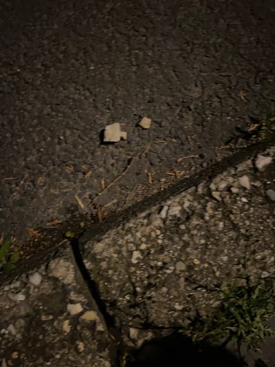 The image shows a close-up view of an asphalt surface with scattered debris and vegetation along a concrete curb. The scene appears to be outdoors, likely on a street or sidewalk, at night, as indicated by the artificial lighting casting shadows and highlighting textures.
In the upper portion of the image, the asphalt is a dark, granular material with a rough texture. Scattered across the asphalt are small, light-colored fragments of what appear to be rocks or concrete, and some dry, thin pieces of organic material, possibly twigs or leaves. Two distinct, larger light-colored rectangular objects are visible, one in the upper left quadrant and another slightly to the right of the center.
A distinct line separates the asphalt from a concrete curb in the lower part of the image. This curb is composed of larger aggregate, showing a mix of grey and white stones embedded in a darker matrix. The texture of the curb is rough and uneven.
To the right of the curb, a patch of green vegetation, possibly weeds or grass, is visible. The lighting suggests a low angle, creating shadows on the curb and the asphalt. The overall impression is a somewhat neglected urban or roadside environment. The specific location in Bílina, Czechia, cannot be determined from the visual evidence in the image alone.