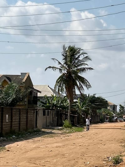 The image displays an unpaved residential street in Ashipa, Nigeria, under a partly cloudy sky with multiple parallel utility wires crossing the upper frame. The foreground consists of a reddish-brown dirt road with visible tracks and scattered debris. On the left, a concrete block wall borders a property, partially obscuring a building with a light-colored facade and a dark gabled roof. Green foliage protrudes above and around the wall. In the center, a tall palm tree with green fronds stands, displaying visible fruits. To the right of the palm tree, further buildings with various roof types, including corrugated metal, and dense tropical vegetation are present. A single individual, wearing a white shirt and dark trousers, walks away from the camera on the dirt road, carrying a dark object in his left hand. A light-colored vehicle is partially visible in the distant background on the right side of the road.