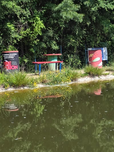 In German, Bulgaria, a tranquil lake scene unfolds, bordered by lush greenery and a sun-dappled shore. The foreground is dominated by the still, reflective surface of the water, with small white bubbles scattered across it. The water mirrors the surrounding foliage, creating a vibrant green tableau.
On the bank, a picnic table with red and blue legs and a green and red top sits under the shade of the trees. To the left of the table is a large black cylindrical object with "FIRE VISION" and "SPECIAL EFFECTS COMPANY" printed on it in red and white lettering. To the right of the table is a red cylindrical object, possibly a trash can, adorned with images of fish lures. Tall grass and small yellow flowers grow along the edge of the bank. A chain-link fence is visible in the background, separating the immediate area from a dense forest. The scene evokes a sense of outdoor recreation and a connection with nature.