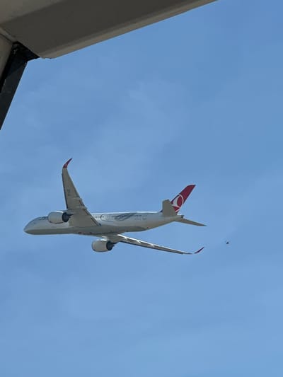From a vantage point near a building, an airplane is observed flying overhead in the blue sky in Somma Lombardo, Italy. The aircraft is viewed from below, its undercarriage and engines visible. The tail is distinctly marked with a red and white emblem. An additional object, possibly a bird, is also visible in the sky near the plane. The overall environment suggests an outdoor setting.