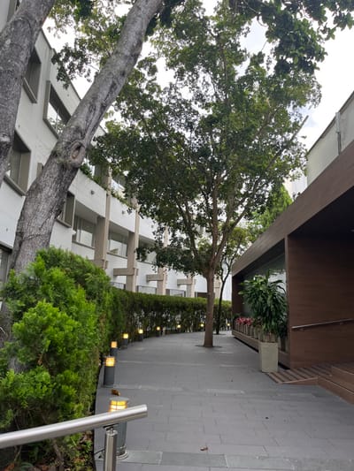 The image depicts an outdoor landscaped pedestrian pathway within an urban setting, located in Floridablanca, Colombia. The precise address or specific establishment is not discernible from the visual information.
The scene features a wide, dark grey paved pathway, composed of rectangular tiles, which curves gently from the foreground towards the background. To the left of the pathway stands a multi-story building with a light-colored facade, possibly white or off-white. This structure displays multiple rows of rectangular windows and balconies, supported by prominent concrete pillars or projections.
Several large trees with dense green canopies are central to the composition; one tree on the left exhibits a distinct knot or cavity on its trunk. A well-maintained green hedge runs alongside the pathway, separating it from the light-colored building. In the foreground on the left, additional green shrubbery is visible.
To the right of the pathway, a building entrance or structure with a dark brown, possibly wooden or paneled, exterior is present. This structure features a large glass section and an elevated entrance accessible by three steps, bordered by a silver-colored handrail. Planters containing various green and reddish-leafed plants are arranged in front of this building.
Approximately ten cylindrical, grey-colored bollard lights with illuminated yellow tops are evenly spaced along the inner edge of the pathway. A silver-colored metal handrail is visible in the lower-left foreground. No human figures or discernible actions or interactions are present in the scene. The sky is bright and appears overcast, indicating daytime conditions. The pathway and surrounding areas appear clean and well-maintained.