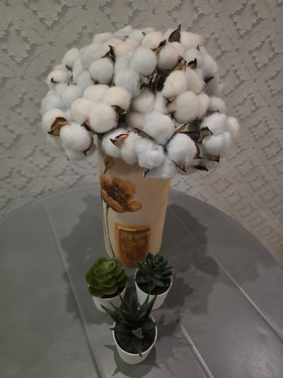 A still life arrangement is presented on a grey, textured surface, possibly a table, in Sofiivska Borshchahivka, Ukraine. The primary subject is a bouquet of cotton bolls arranged in a decorative vase. The vase is cream-colored with a hand-painted floral motif, specifically a brown poppy and a golden rectangular emblem. The cotton bolls are fluffy and white, with brown seed pods visible. In front of the vase, three small potted succulents are placed in a row. Each succulent is in a small white pot and exhibits distinct green foliage. The background consists of a textured, light-colored fabric with a subtle patterned design. The lighting suggests an indoor setting. There are no people or actions depicted in the scene.