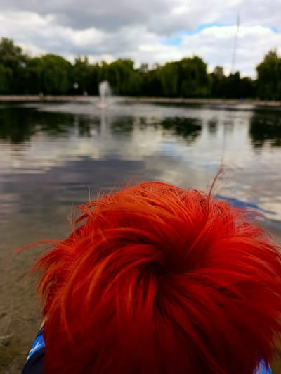 A person with vibrant red hair is positioned in the foreground, their head turned away from the camera. Behind them, a body of water reflects the cloudy sky and a line of trees. A fountain is visible in the distance, spraying water into the air. The overall scene suggests an outdoor park or recreational area. Based on external information about the park's location, this photograph was taken at the Hydropark in Brovary, Ukraine.