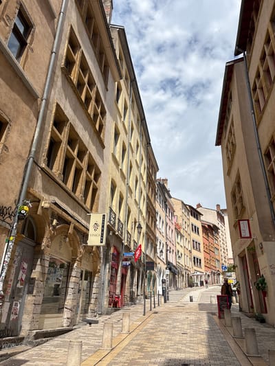 The image shows a narrow, cobblestone street in Lyon, France, lined with multi-story buildings. The buildings feature distinctive Renaissance-era architecture with numerous small windows arranged in grid patterns. The street slopes upwards, leading towards a distant staircase. The facade of the buildings varies in color, ranging from beige and yellow to pink and orange hues. Several shops are visible at the street level, indicated by signs such as "VINICA Cave à Vins" and "Le Progrès". One person is standing on the right side of the street, near a red A-frame sign, while another person is visible further up the street near the staircase. The sky is partly cloudy. A black bird is present on the cobblestone pavement in the lower left quadrant of the image.