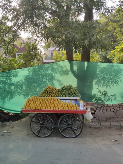 In Gurgaon, India, a fruit cart is parked on a dirt road in front of a green mesh screen that casts tree shadows. The cart is laden with two large piles of fruit. The front pile consists of numerous yellow mangoes. Behind them, a smaller pile contains green fruits, possibly limes or smaller mangoes. The cart has two large black-rimmed wheels with silver spokes and is painted red around the fruit display area. To the right of the cart, a stack of bricks forms a low wall. The background shows buildings with white balconies and windows, interspersed with lush green trees. The overall scene depicts a typical street-side fruit vendor setting.