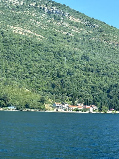 A body of dark blue water fills the bottom of the frame, with ripples indicating gentle movement. Along the shore, a cluster of buildings with red-tiled roofs and light-colored walls are visible, interspersed with trees and vegetation. To the left of the buildings, a light blue bus is parked on a road that runs parallel to the water. In the background, a steep, densely forested mountain rises, with patches of exposed rock and a single metal tower visible against the green foliage. The sky is clear and blue. The scene depicts a coastal settlement in Lepetane, Montenegro, with the mountainous landscape characteristic of the region.
