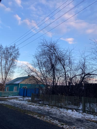 The image displays an exterior scene in Sheragul, Russia, under a partially cloudy blue sky featuring white and subtle pink-tinted stratocumulus clouds. Four parallel utility lines traverse the upper portion of the frame. The foreground consists of a dark-colored road or path, with the adjacent ground covered in irregular patches of dirty snow and exposed brown earth.
On the left mid-ground, a single-story wooden house with light teal-colored siding and a dark greenish-blue gable roof is visible. The house has at least two white-framed windows on its visible facade. A light teal picket fence extends from the house towards the foreground on the left. Directly in front of the house, a prominent blue wooden gate and an adjacent blue fence section are present.
To the right of the house, a darker wooden picket fence runs horizontally across the mid-ground, defining a property boundary. The ground behind this fence also exhibits patches of snow and bare earth. Multiple deciduous trees, largely devoid of leaves, are scattered throughout the scene. A tall birch tree with light-colored bark stands on the far left. A dense cluster of dark-branched, leafless trees occupies the right half of the image, partially obscuring the house and forming silhouettes against the sky. No individuals or discernible activities are present within the frame.